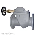 Braco Cast Steel Vertical Storm Valve F3060R