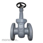 Braco Gate Valve Cast Iron F7364 JIS 10K