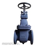 Braco Gate Valve Cast Steel F7363C-JIS 5K