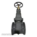 Braco Gate Valve Cast Steel F7366-JIS 10K