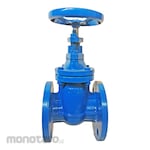 Braco Gate Valve GG25 JIS 10K