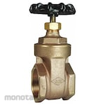 DIXON VALVE COUPLING Gate Valve