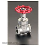 ESCO 1 inch gate valve [stainless steel]