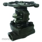 Flowcon Gate Valve Threaded NPT