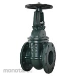 Gala Gate Valve Rising Stem