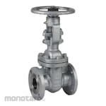 Genebre Gate Valve