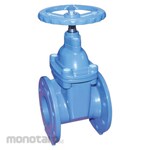 HIWA Resilient Gate Valve NRS