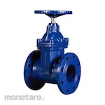 HONEYWELL Ductile Iron Gate Valve