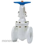 Kitz 10K Cast Iron Gate Valve (Nylon 11 Lining, Flange Type) (10FCLN Series)