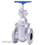 Kitz 10K Cast Iron Gate Valve (with Flange Type, with Indicator) (10FCWI Series)