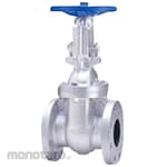 Kitz 10K Gate Valve (Flange Type) 10FCLS Series