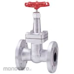 Kitz 20K Ductile Iron Gate Valve (Flange Type) (20SLB Series)