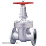 Kitz 20K Ductile Iron Gate Valve (Flange Type) (20SLBO Series) (Katup)