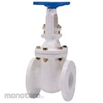 Kitz 5K Cast Iron Gate Valve (Nylon 11 Lining, Flange Type) (5FCMN Series)