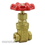 Kitz Bronze Gate Valve