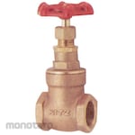 Kitz Class 150 Type Brass Gate Valve E Series