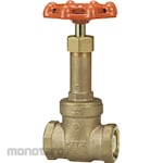 Kitz Core Coat 5K Gate Valve Made by Keepaloy