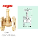 Kitz Gate (10K) (Flange Type) Valve (LB Series)