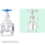 Kitz Gate (10K) Valve (10FCLU Series)