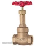 Kitz Gate Valve (10K) (L Series)