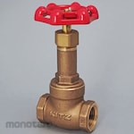 Kitz Gate Valve (10K) (L Series)