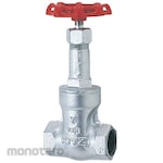 Kitz Gate Valve (Conforming To JIS 10K) (10SMS Series)