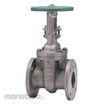Kitz Gate Valve Flange End
