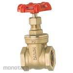 Kitz Gate Valve