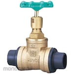 Kitz Keypaloy 10K PVC Pipe Fitted Gate Valve