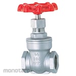 Kitz Stainless Steel Gate Valve