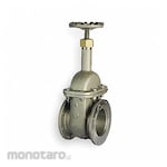 MILWAUKEE VALVE Gate Valve