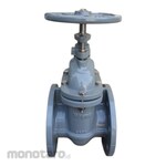 Magno Gate Valve FGN 16 NRS