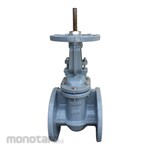 Magno Gate Valve FGR 16 RS