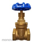Magno Gate Valve SGN 16 NRS
