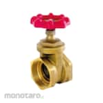 Non Brand Gate Valve