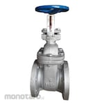Non Brand Gate Valve