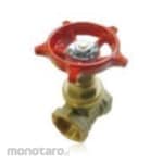 Rambo Gate Valve BSPT