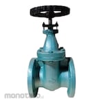 SHOWA (Valve) Cast Iron Gate PN 16 FF