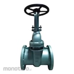 SHOWA (Valve) Cast Iron Gate Valve PN25 Flanged BS 5150