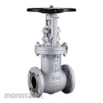 SWI Bellows Sealed Gate Valve Class 800 A105/TRIM 5