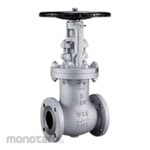 SWI Bellows Sealed Gate Valve Class 800 F304/L/TRIM 16