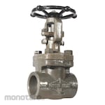 SWI Gate Valve Class 150 F304/L/TRIM 16