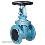 TOYO VALVE Gate valve PN16 cast iron NRS (inside screw)