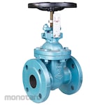 TOYO VALVE Gate valve PN16 cast iron RS (Outside screw)