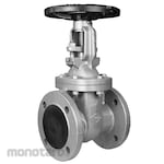 TOYO VALVE Gate valve PN25 Cast iron Flange end