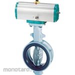 Tomoe Double-Action Cylinder Valve