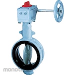 Tomoe Rubber Seat Valve