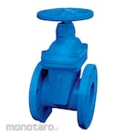 Tozen Gate Valve Cast Iron Body JIS 10K Non Rising Steam Bronze Trim FCWI