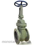 VTV Valve Gate Valve ANSI 150