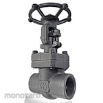 VTV Valve Gate Valve Forged Steel Screw End #800